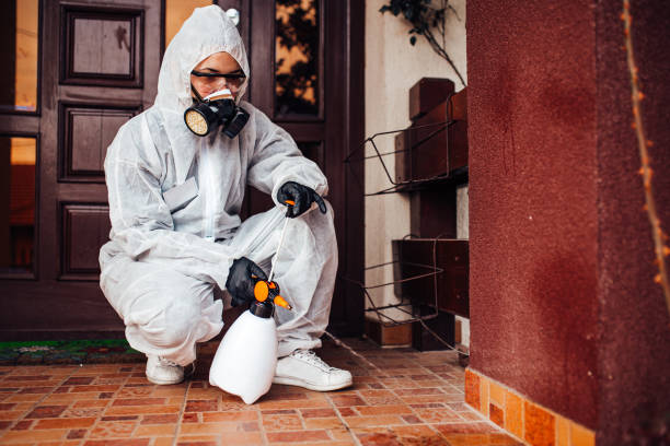 Reliable Bed Bug Control contractor in Bonita, CA by Nex Pest Control